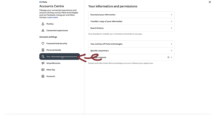 Step 4: Access Your Information and Download Options