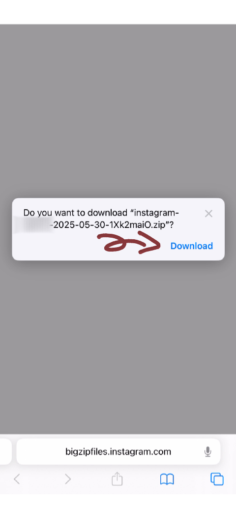 Step 13: Copy the ZIP File Link